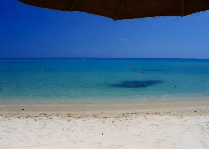 Willa Li Conchi 15 Castiadas